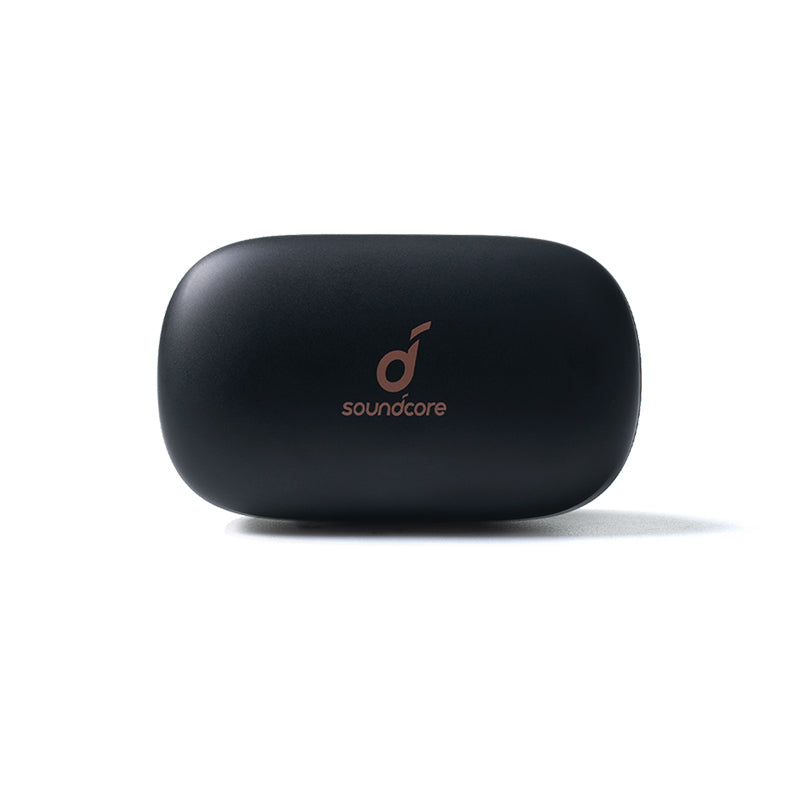 P2 Charging Case - Black