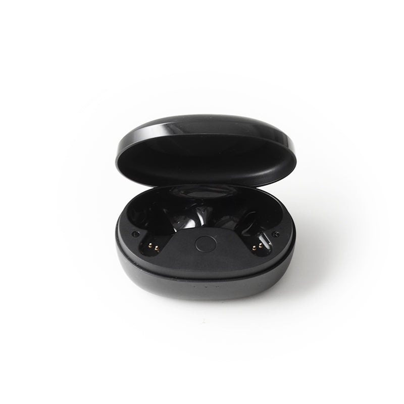 soundcore Life P2 Mini Charging Case - Black